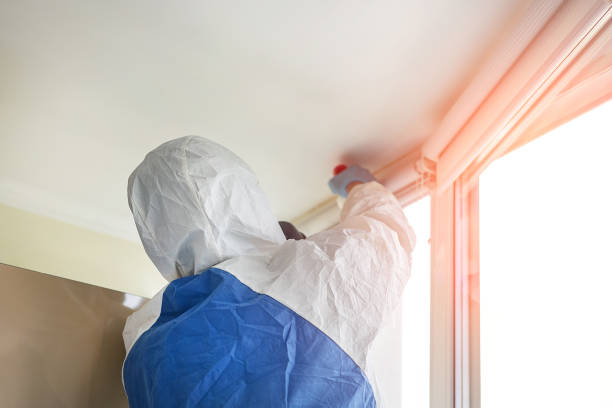 Best Biohazard Mold Removal in Guadalupe, CA